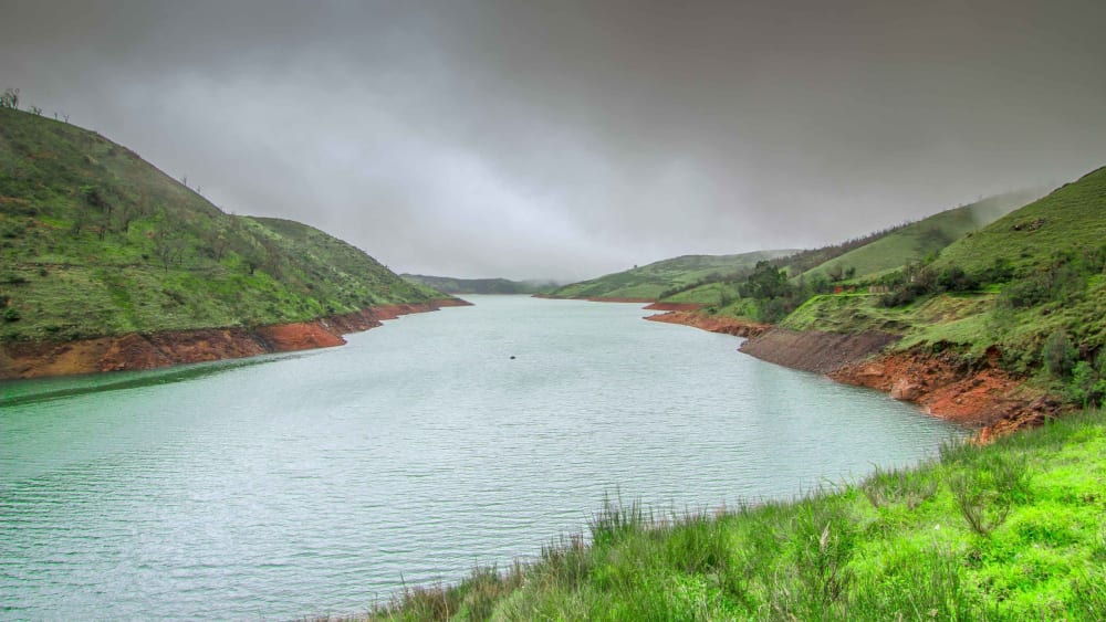 Troubled Waters: Alien Plants and Water Stress in the Nilgiris