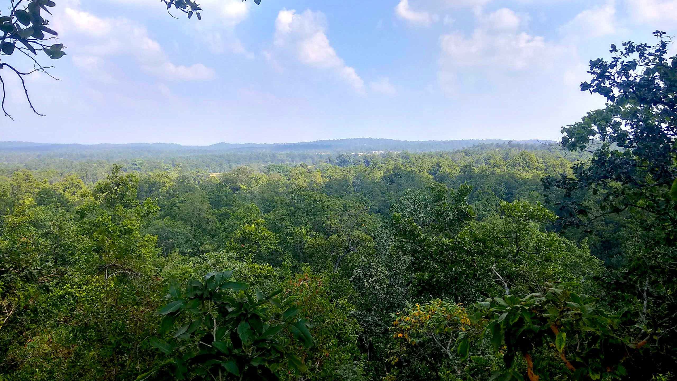 Coal Mining Hazard Looms Over Hasdeo Arand