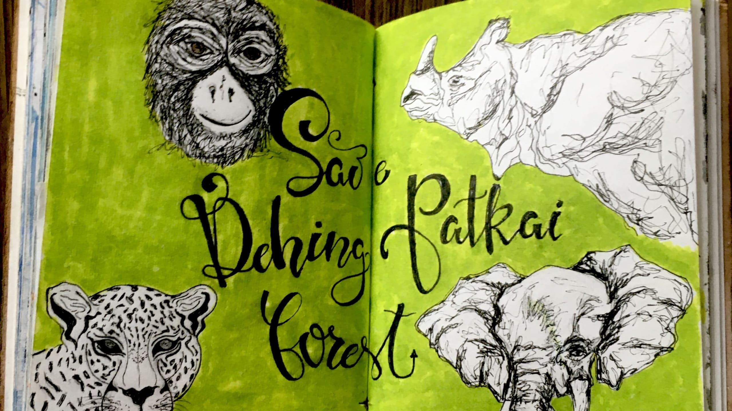 Art for Dehing Patkai: Amazon of the East