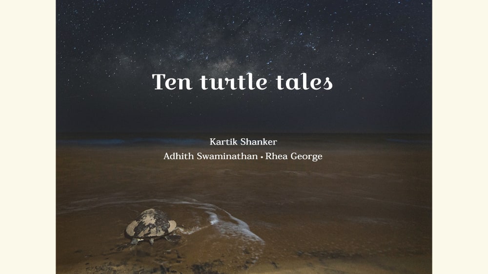 Of Turtles, Tides and Love Notes in Bottles