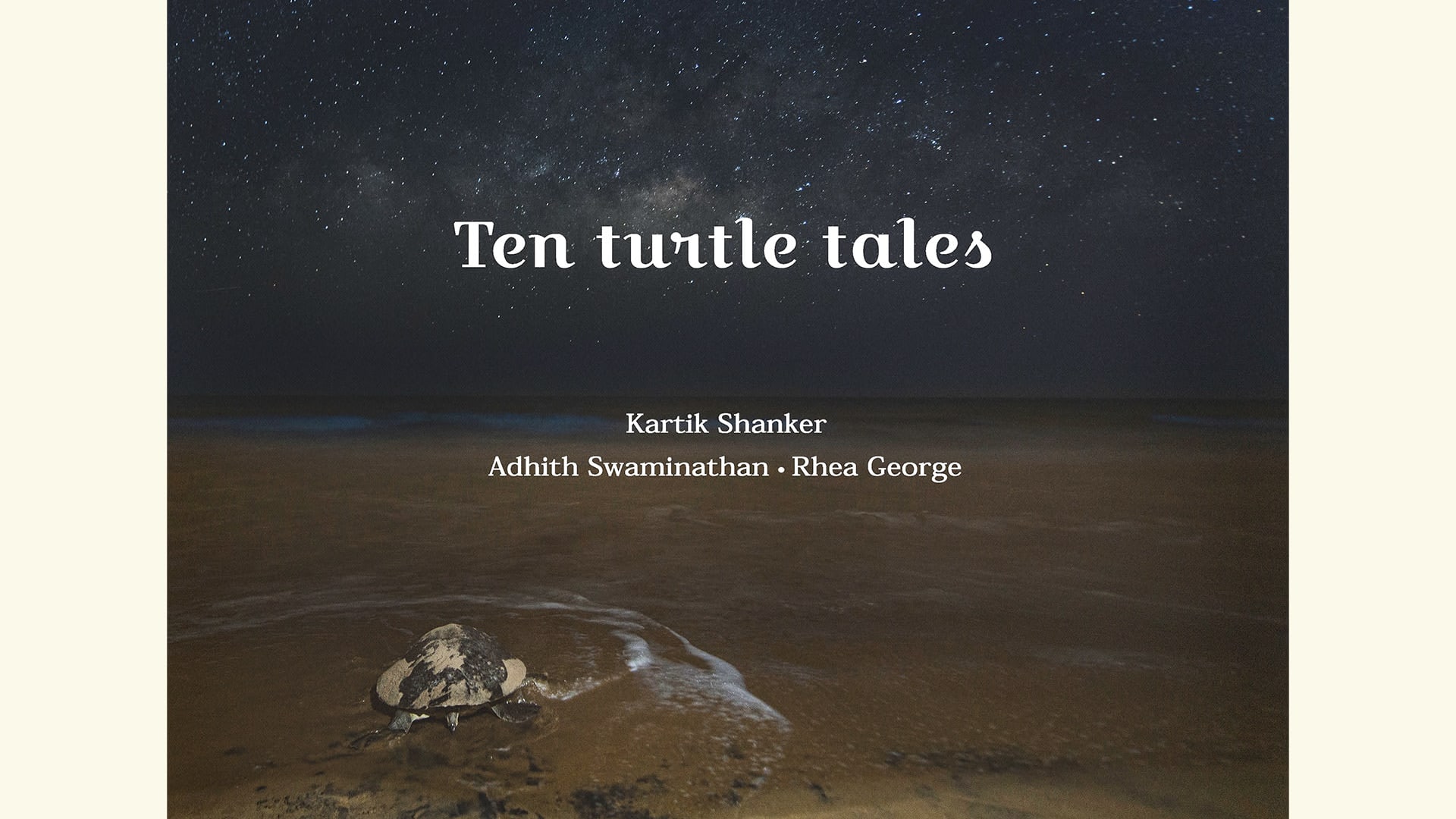 Of Turtles, Tides and Love Notes in Bottles