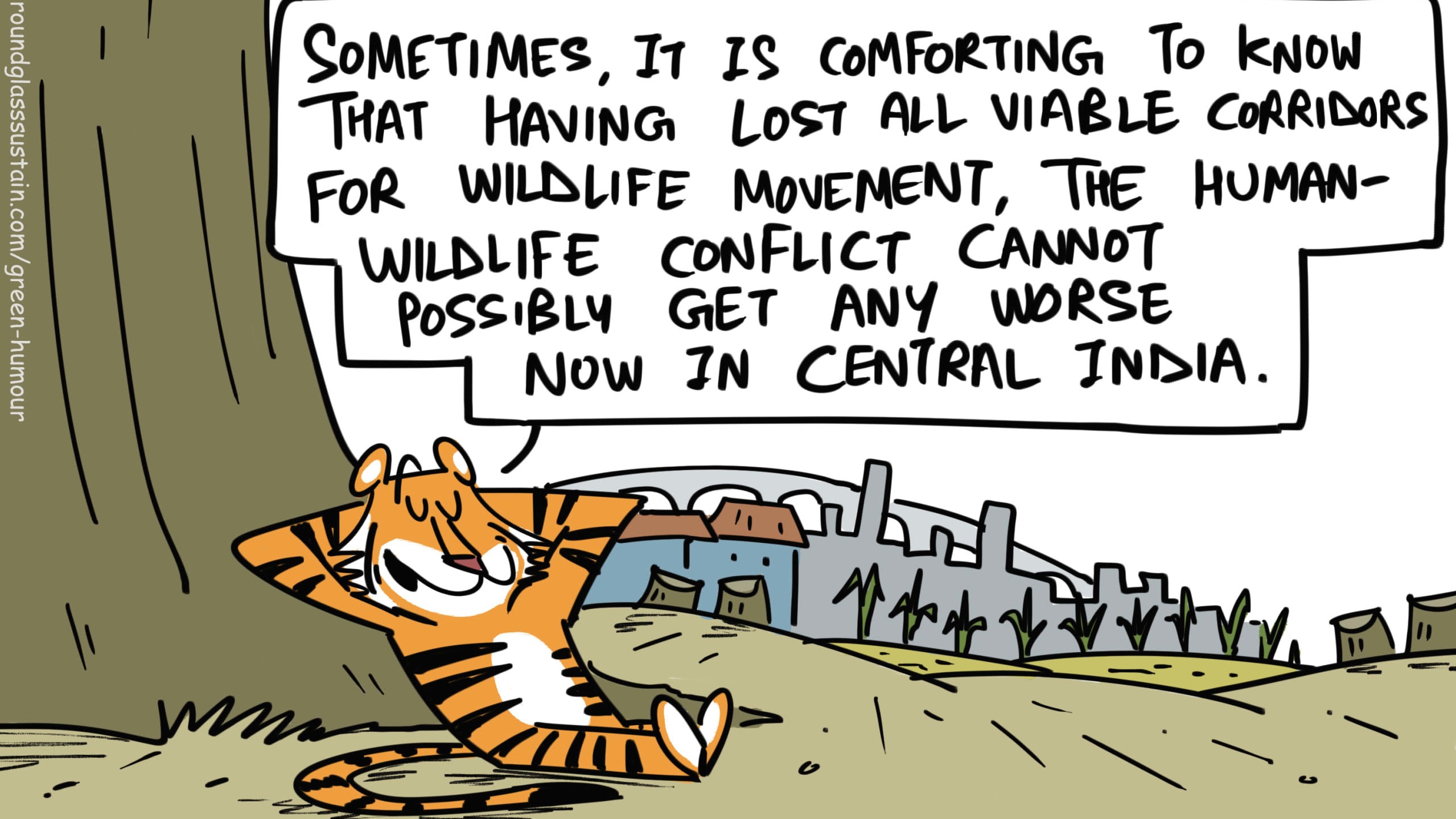 Is Central India Ready for Displaced Elephants?