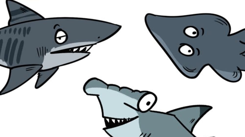 Good News for the Sharks?