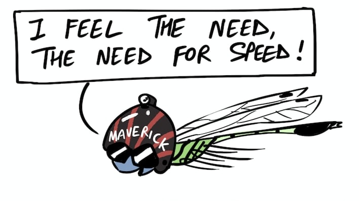 Dragonfly: The Fastest Flying Insect