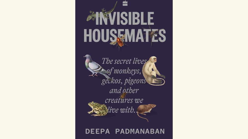 Close Encounters with Friendly Neighbourhood Squirrels