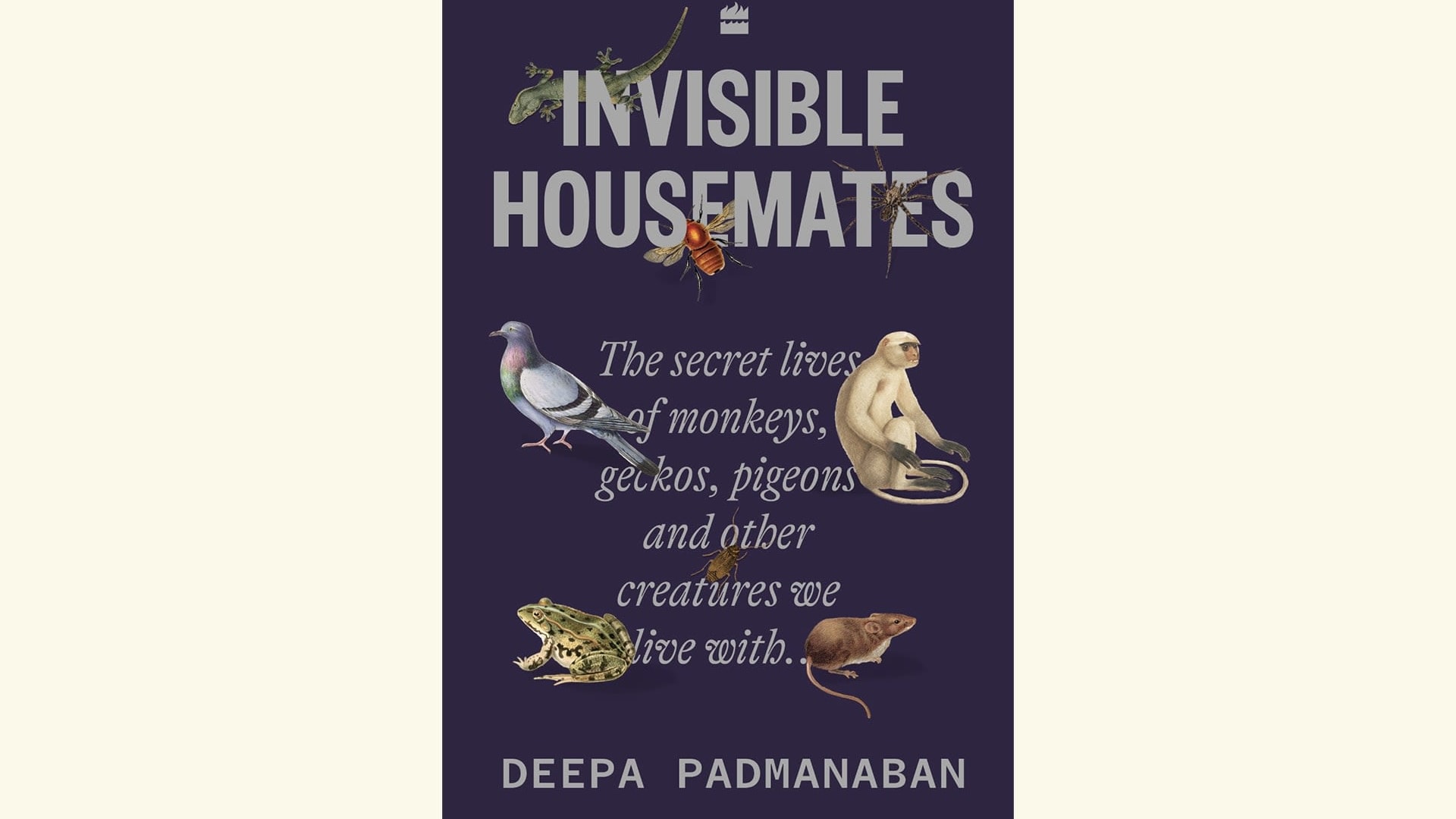 Close Encounters with Friendly Neighbourhood Squirrels