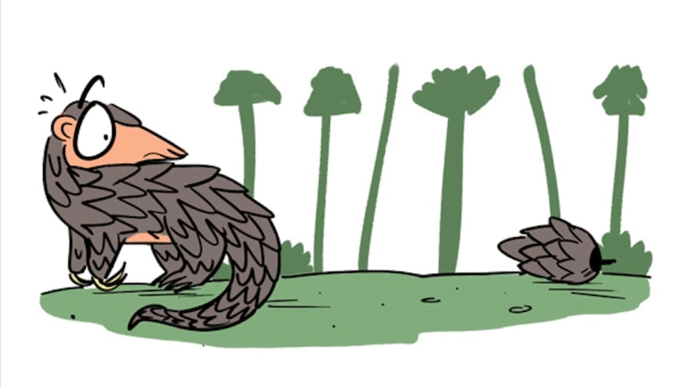 When Pangolin Meets Pinegolin