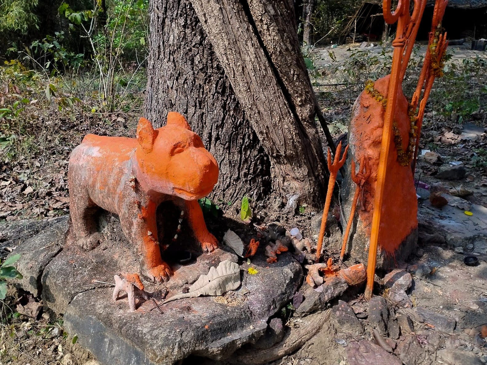 Sacred Stripes: Reverence for Waghoba in Central India