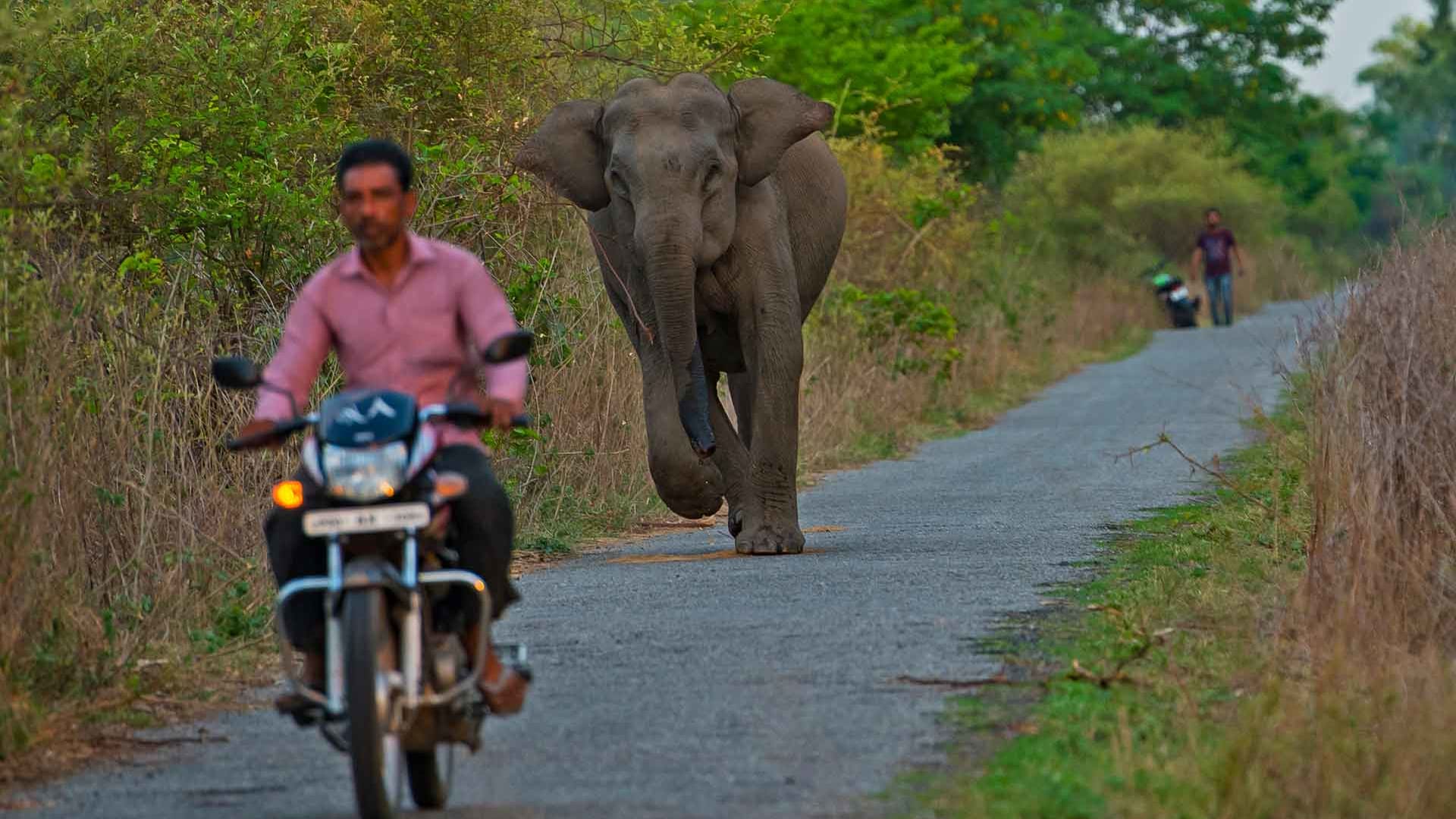  Addressing the Human-wildlife Conflict Challenge