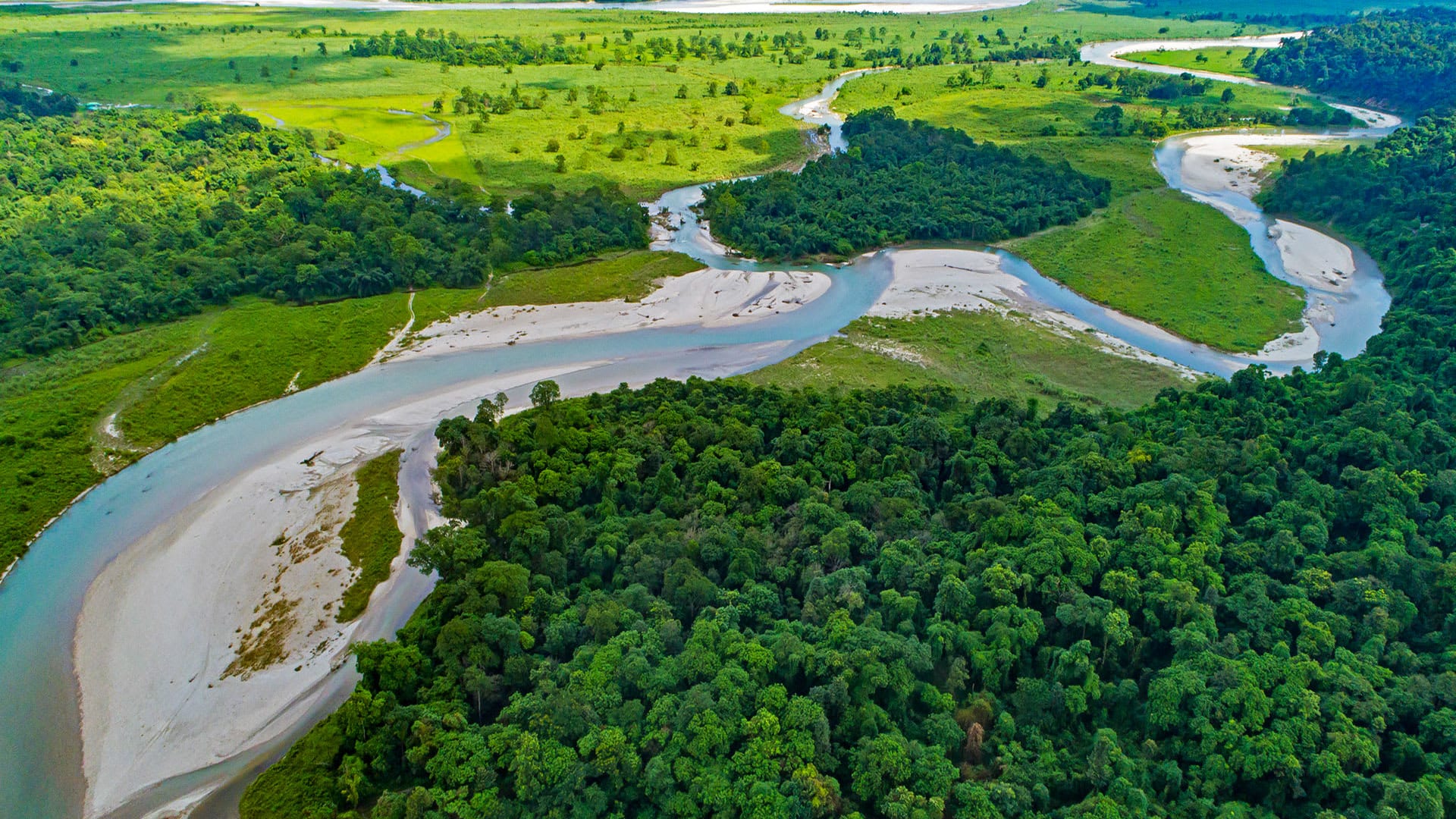 The Guide: Gorumara National Park