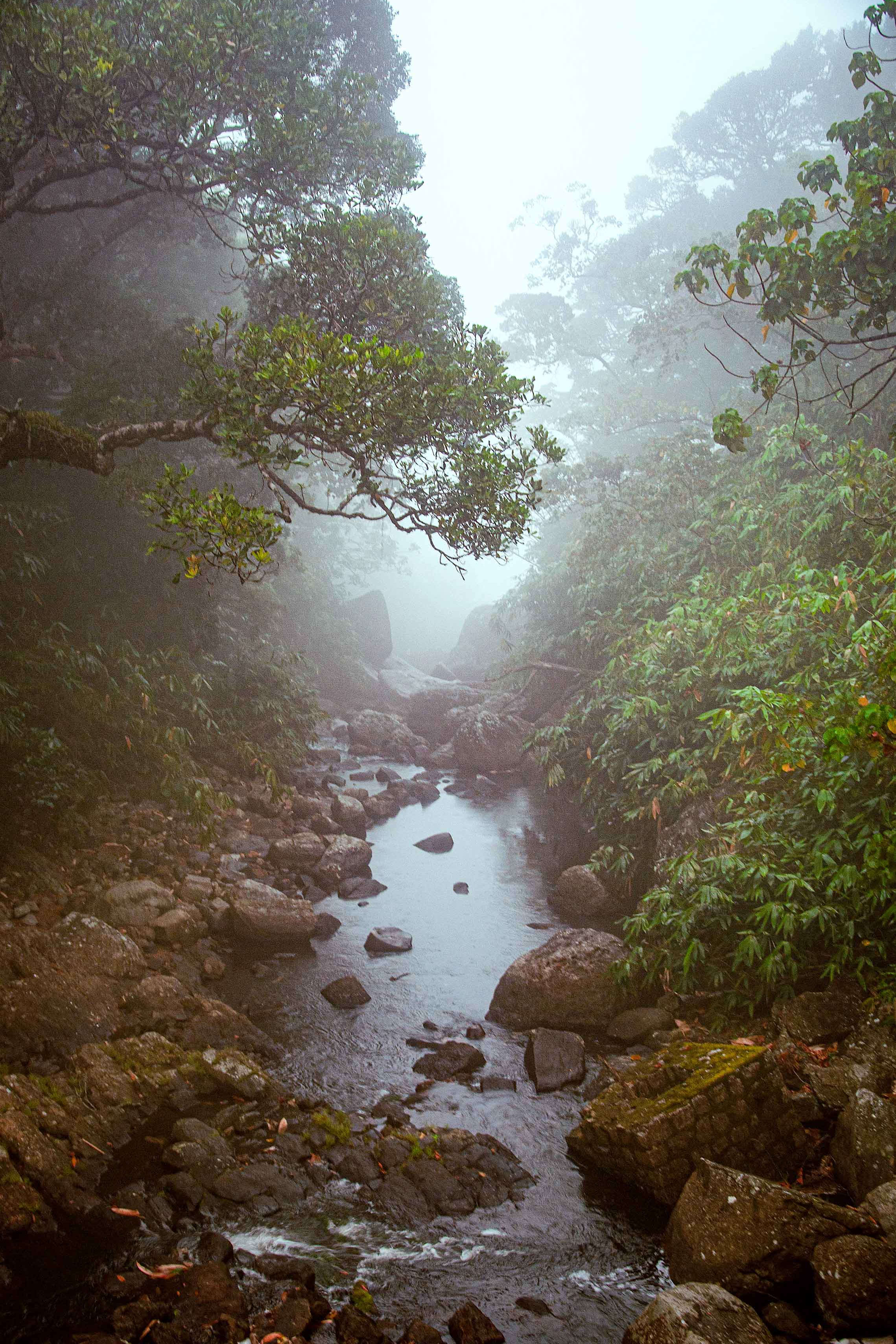 Biodiversity Hotspot: Walking Through Kalakad-Mundanthurai Tiger Reserve 