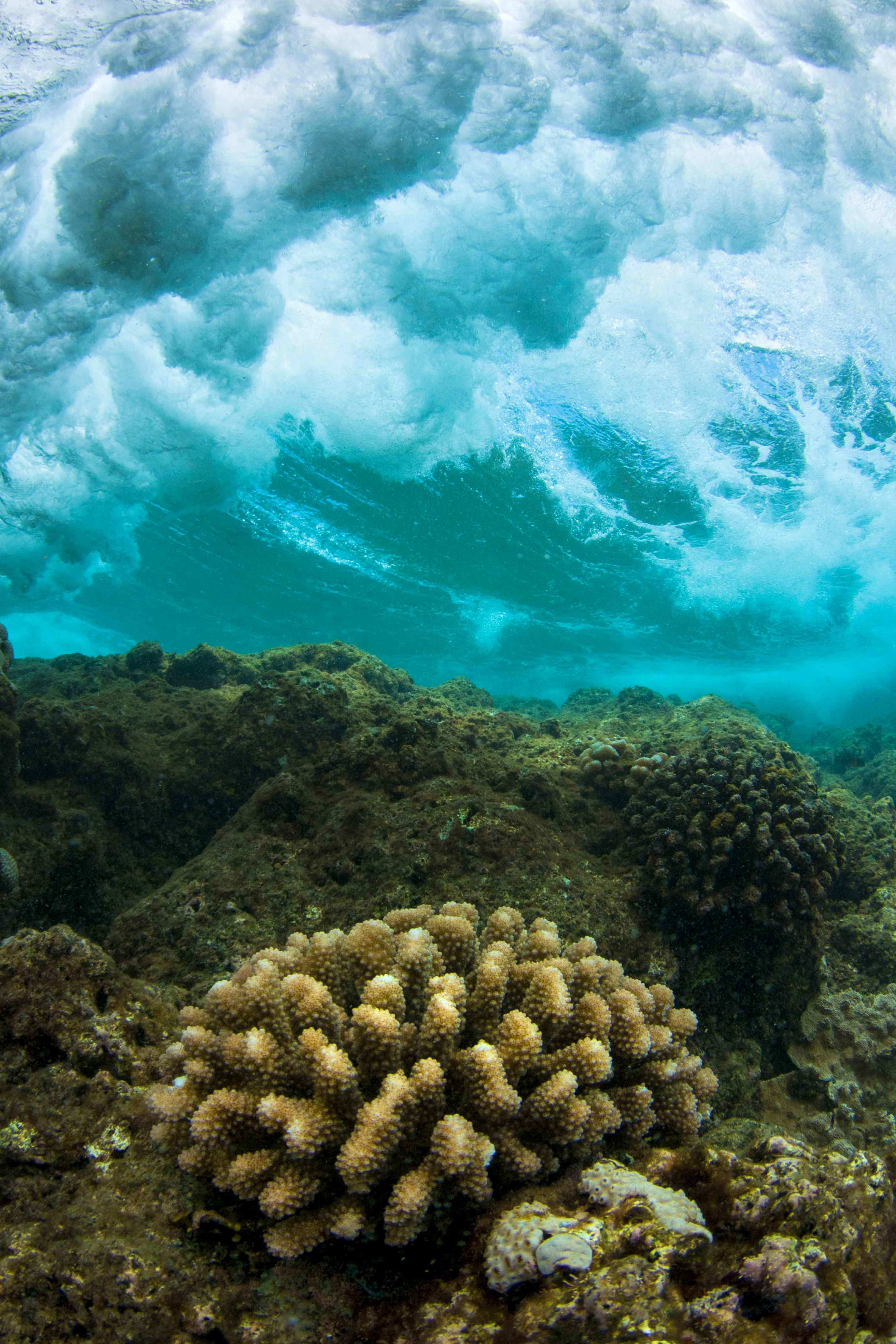 lakshadweep-coral-storm-wave-surface