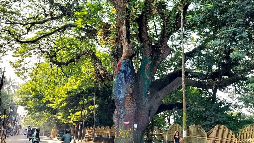 Lost Acquaintances: Guwahati’s Disappearing Canopy