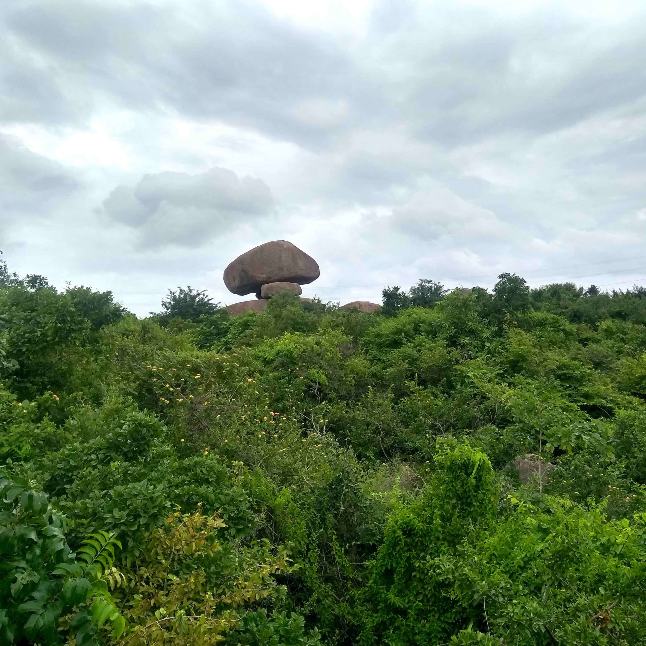 My Home Is This Landscape. And It Needs Saving