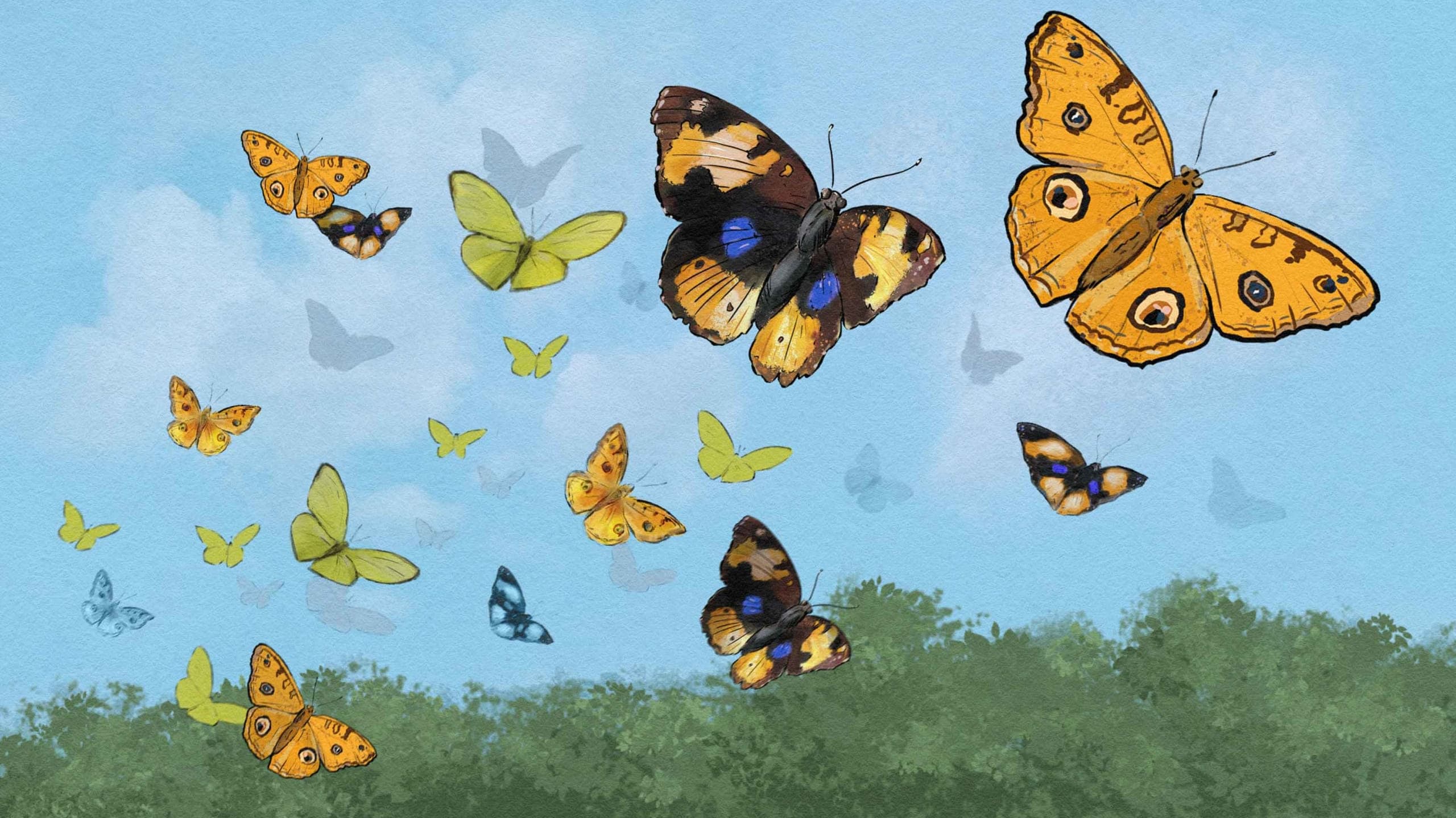 Have You Ever Seen a River of Creatures?