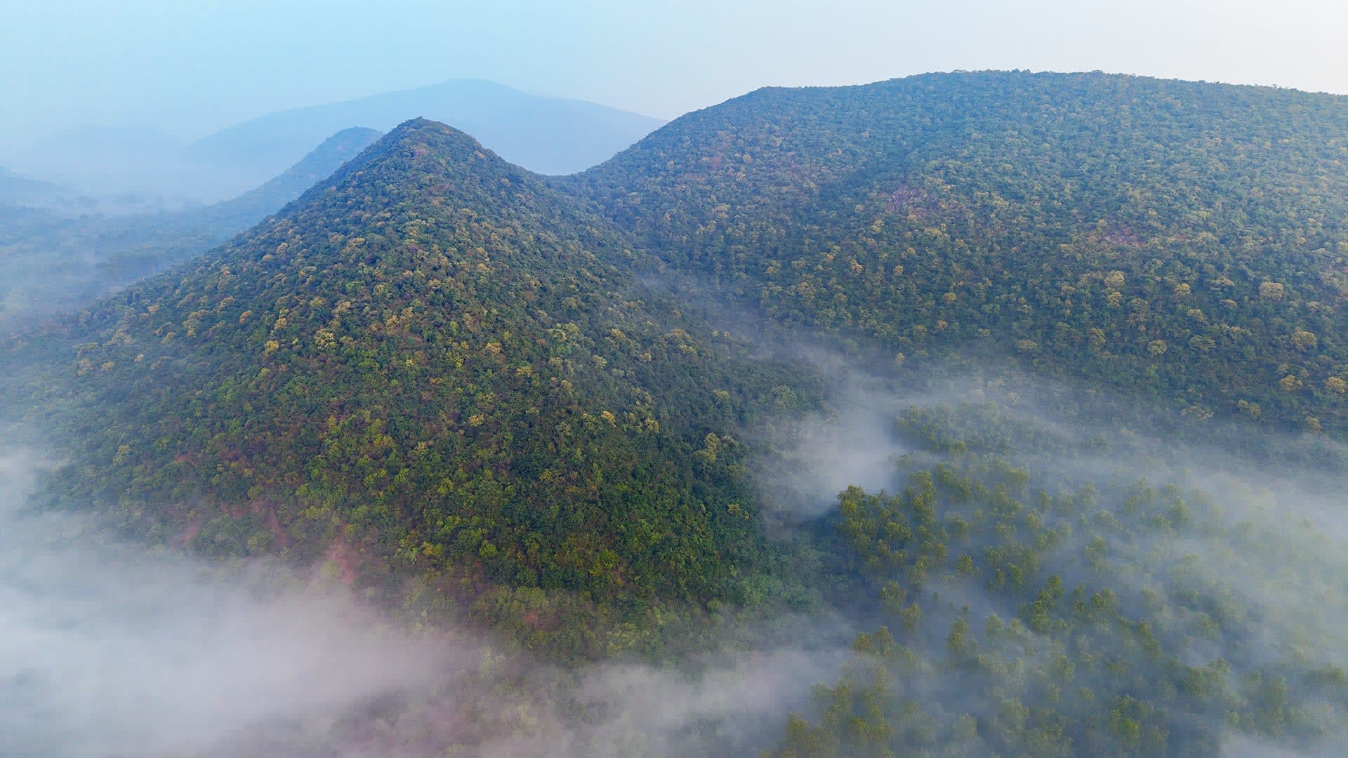 Kambalakonda Wildlife Sanctuary: Visakhapatnam’s Green Lung