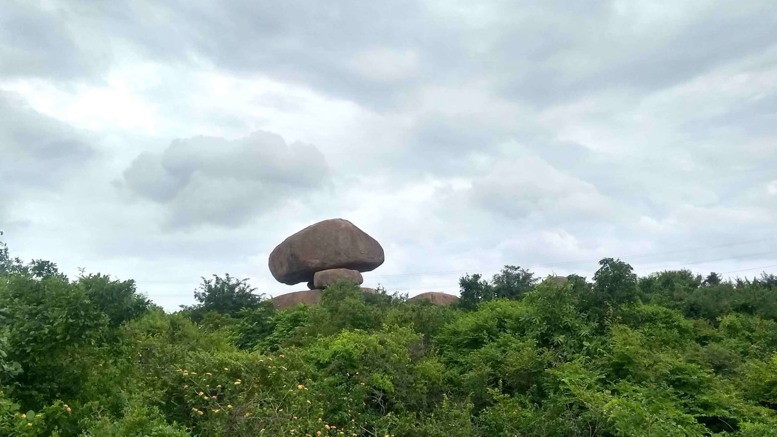 My Home Is This Landscape. And It Needs Saving