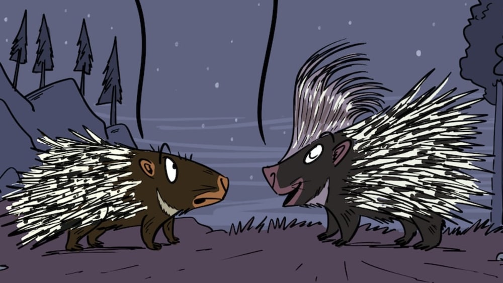 What's the Secret of the Porcupine's Crest?