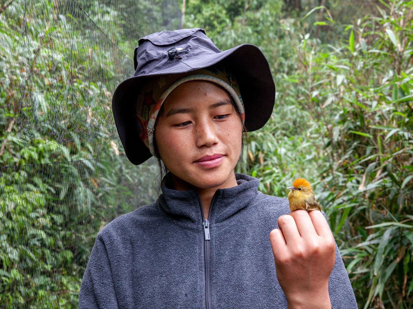Arunachal’s birds: Canary in the Coalmine