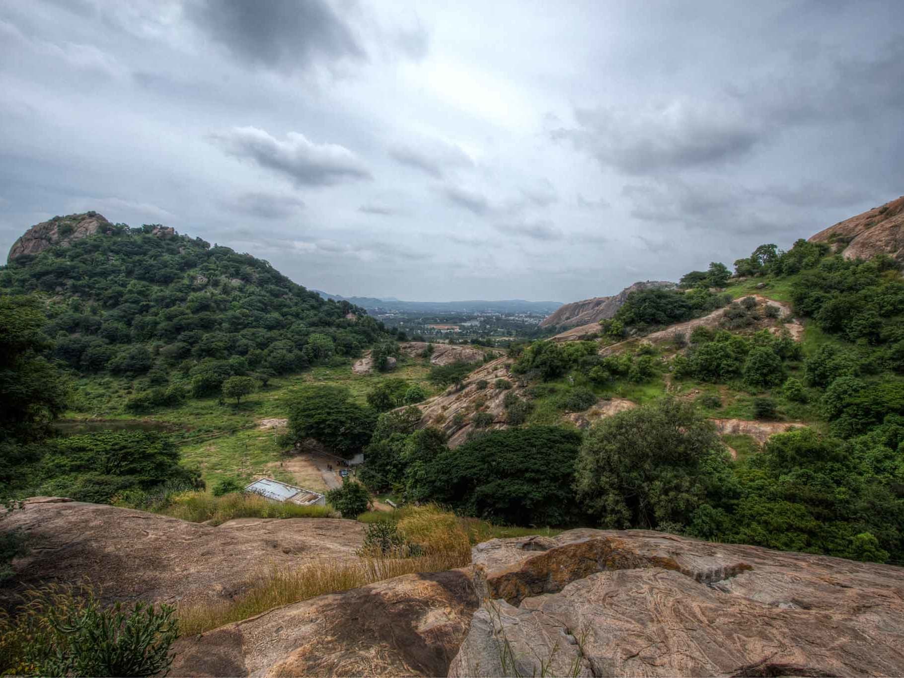Winds of Change: Sharing Space with the Wild in Ramanagara