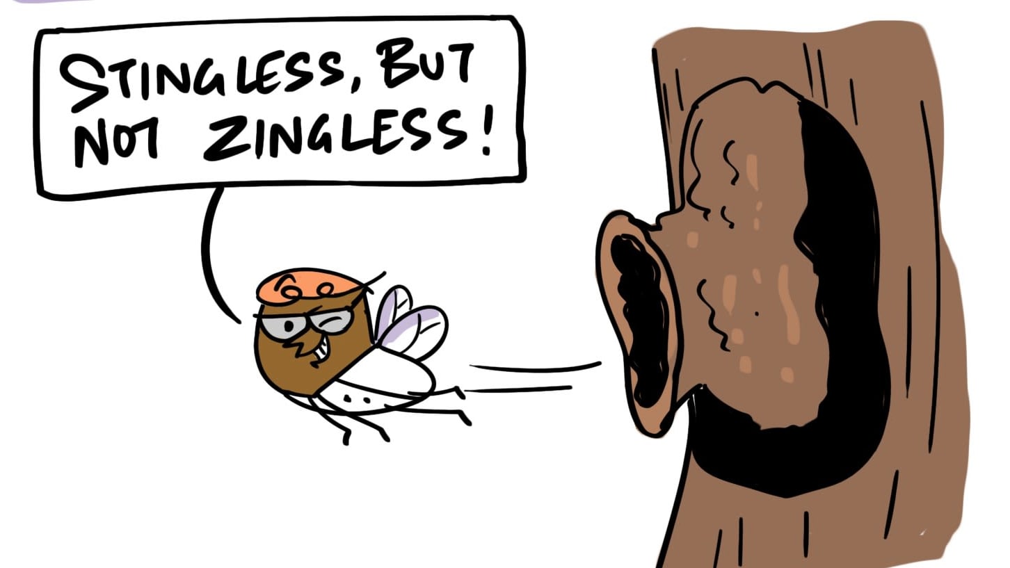 The Superpowers of the Stingless Bee