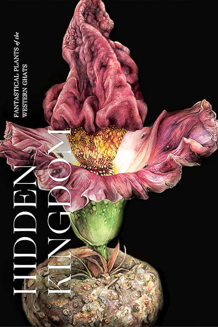 Hidden kingdom