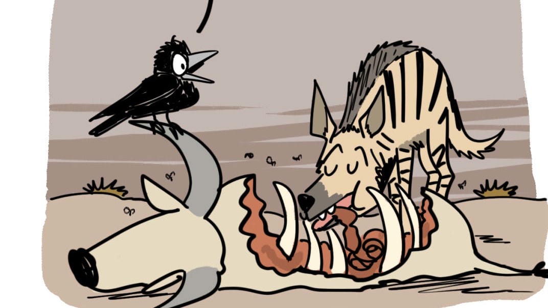 Vote for Hyena! The Municipal Elections are Here