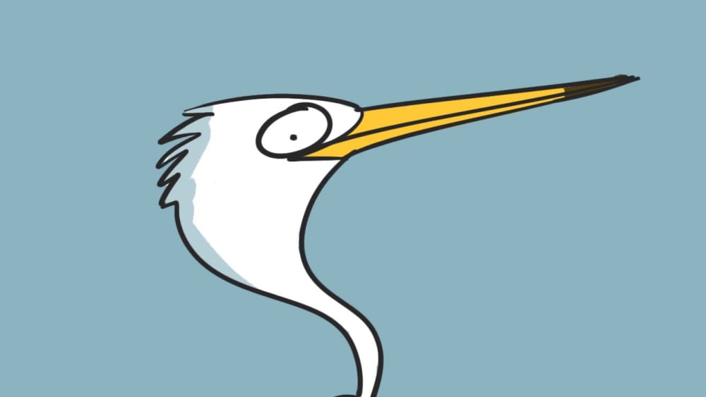 Who's Who: Difference Between the Intermediate and Great Egret