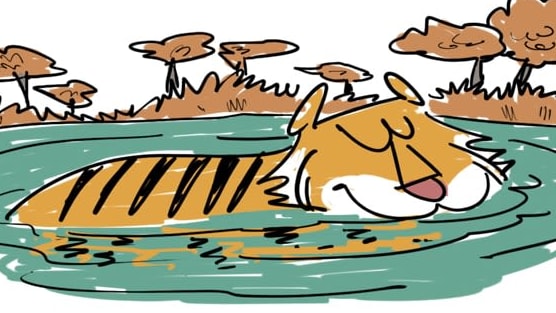 Only the Coolest Cats Get Picked for the Swimming Summer Camp!