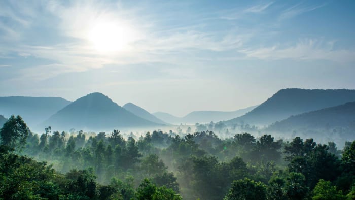 Kamabalakonda Wildlife Sanctuary: Visakhapatnam’s Green Lung 