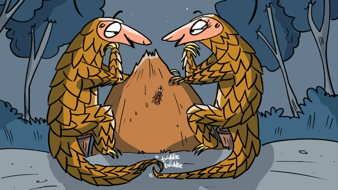 The Pangolin Could Use a Little Love