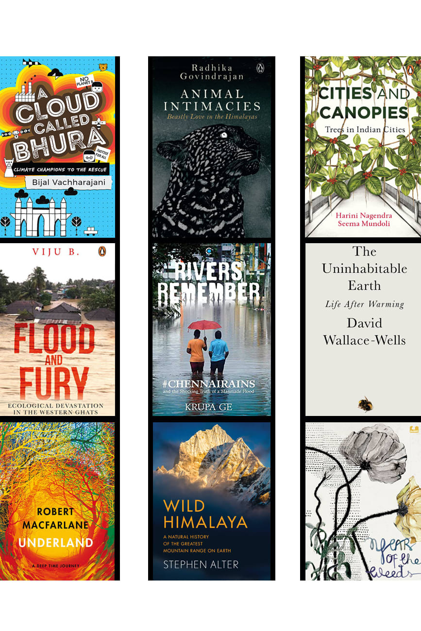 book round up 2019