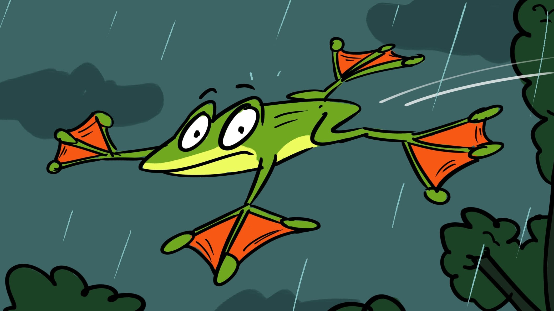 The Anamalai Gliding Frog Wants a Stunt Double