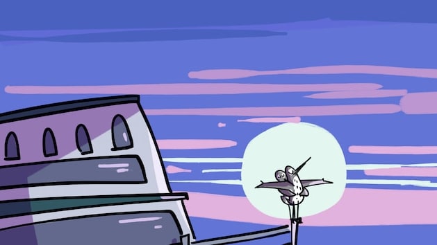 Birds Migrating in Style