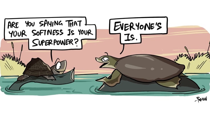 Words of Wisdom from the Softshell Turtle