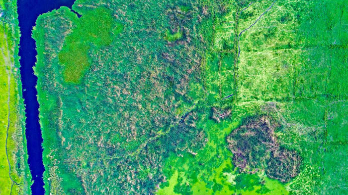 Unsung Guardians: The Vital Wetlands of Kolkata
