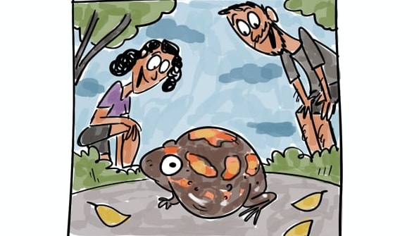 Welcome Everyday Interruptions from Nature