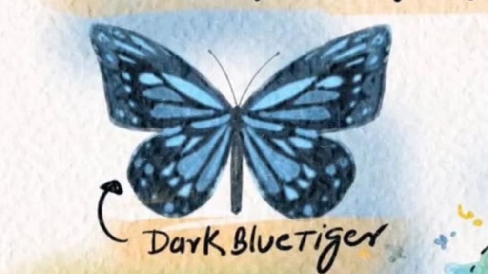 Nature Conscious: Migration of the Blue Tiger Butterfly
