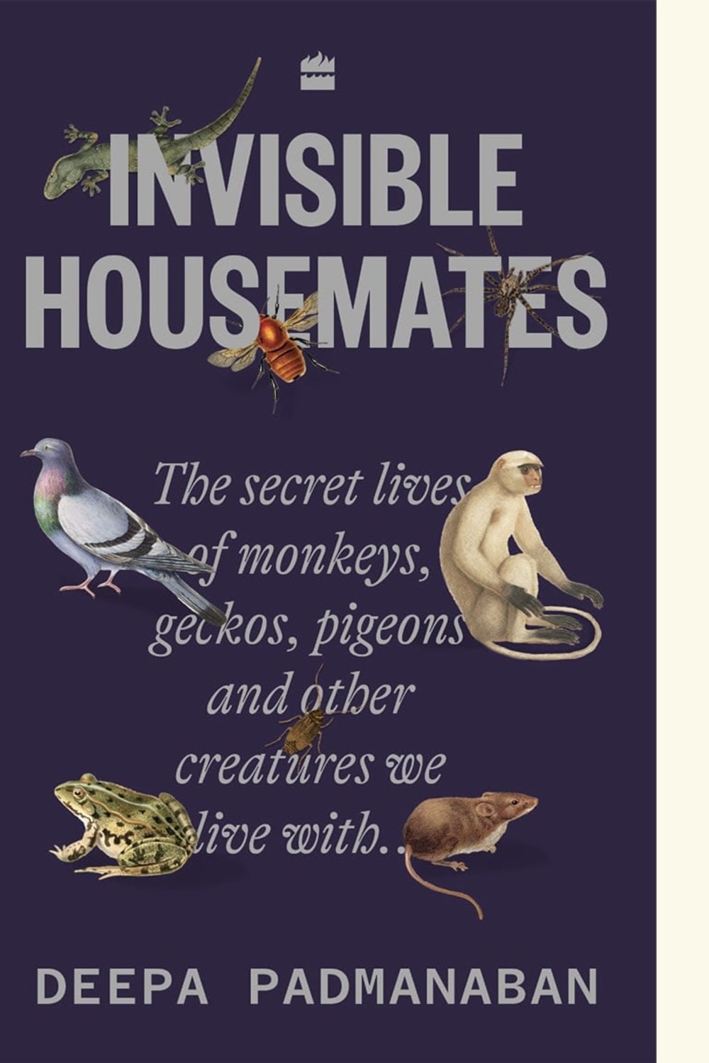 Close Encounters with Friendly Neighbourhood Squirrels