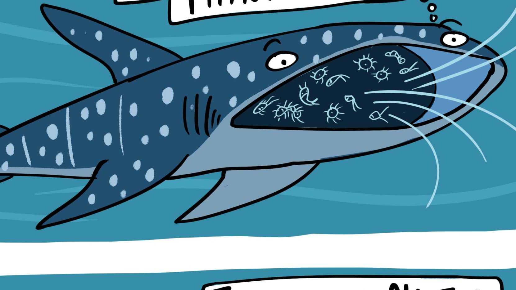 Veganism Defined by Whale Sharks