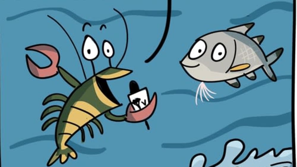 Nature Tv News Interviews India's Newest Fish Species