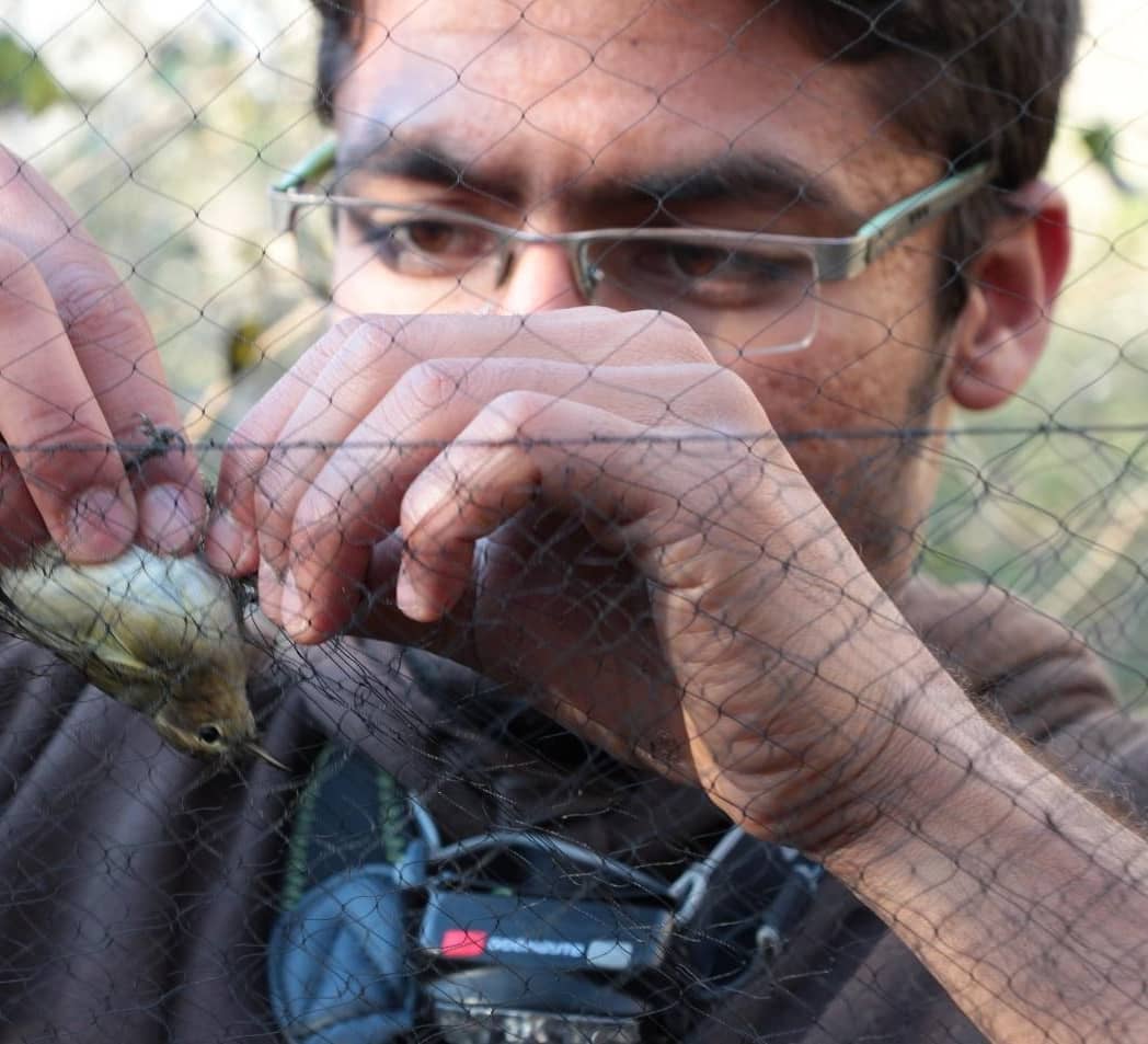 Man of the Mountains: Sathya Chandra Sagar