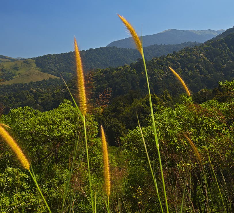 The Varied Ecosystems of Peninsular India