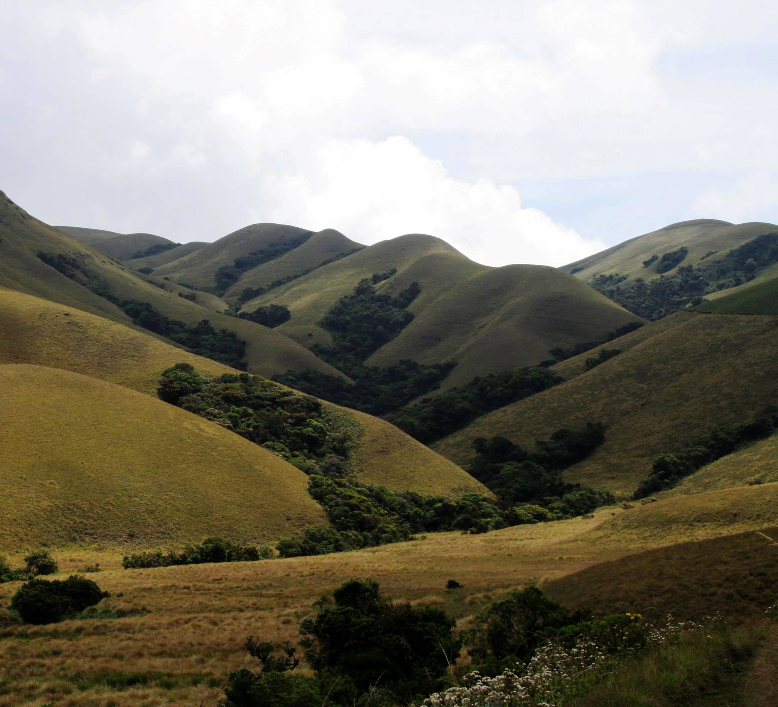 Not Wastelands: Non-forest Habitats of the Western Ghats