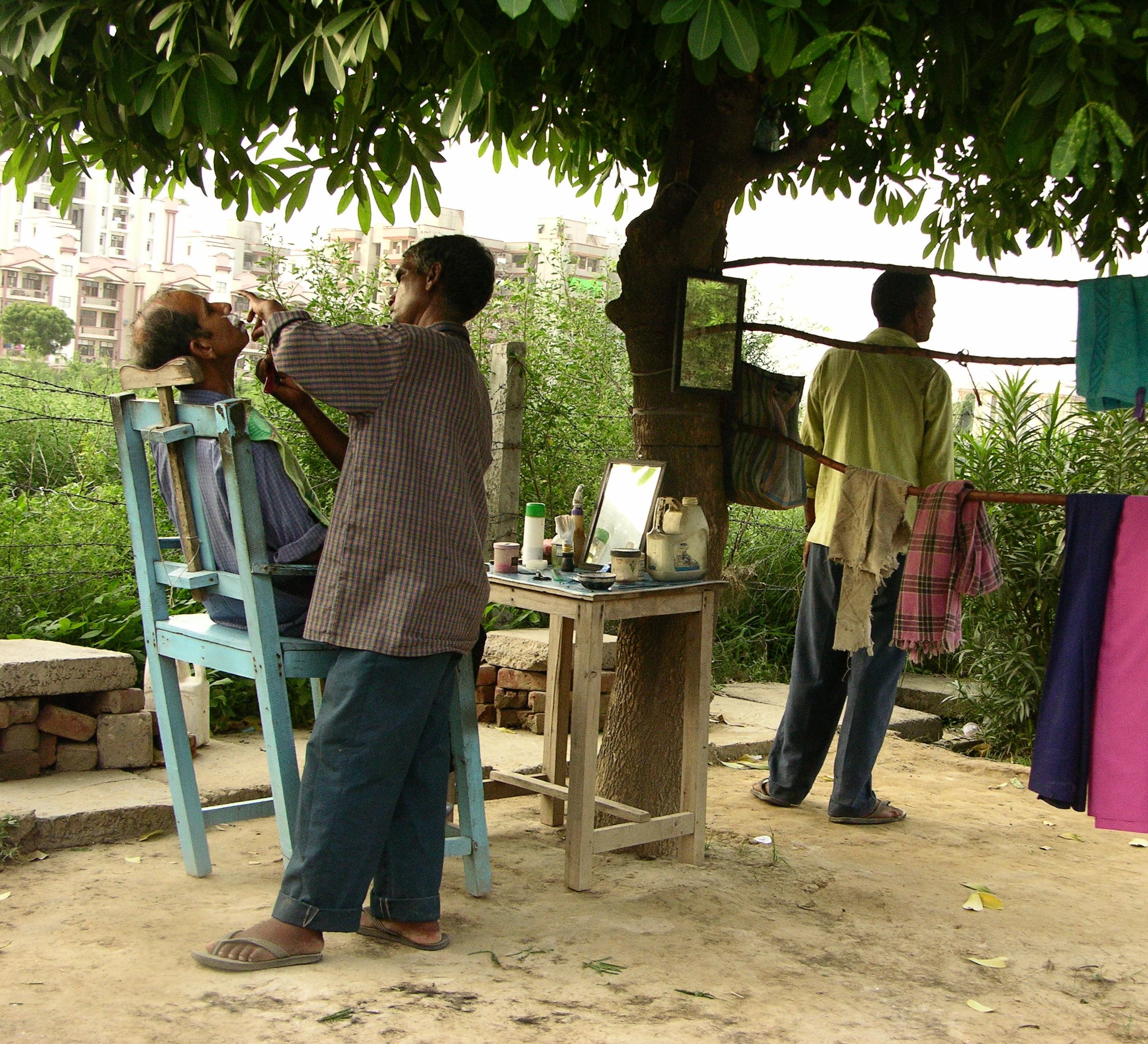 Branch Offices: The Working Trees of Delhi