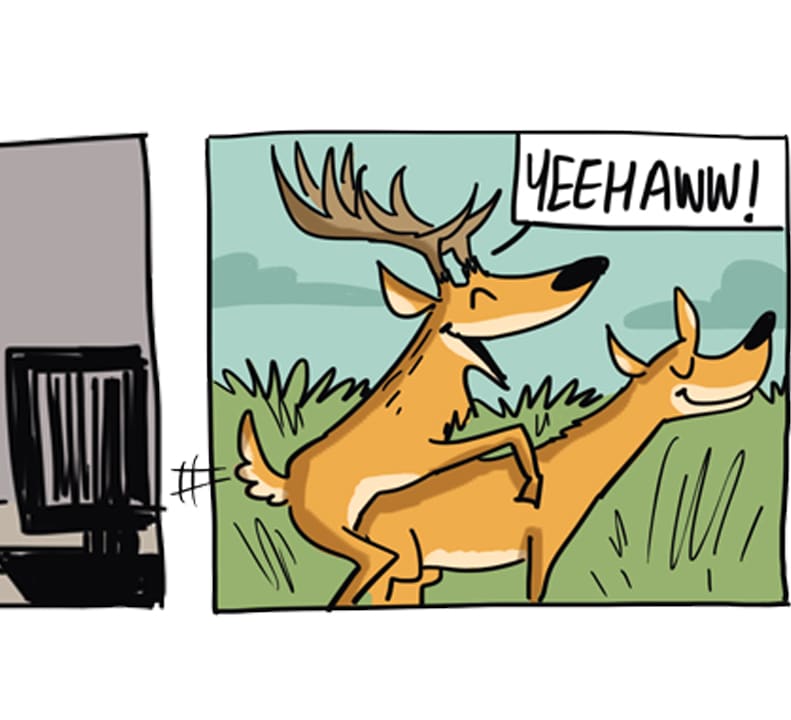 The Swamp Deer Likes to be Stuck in a Rut