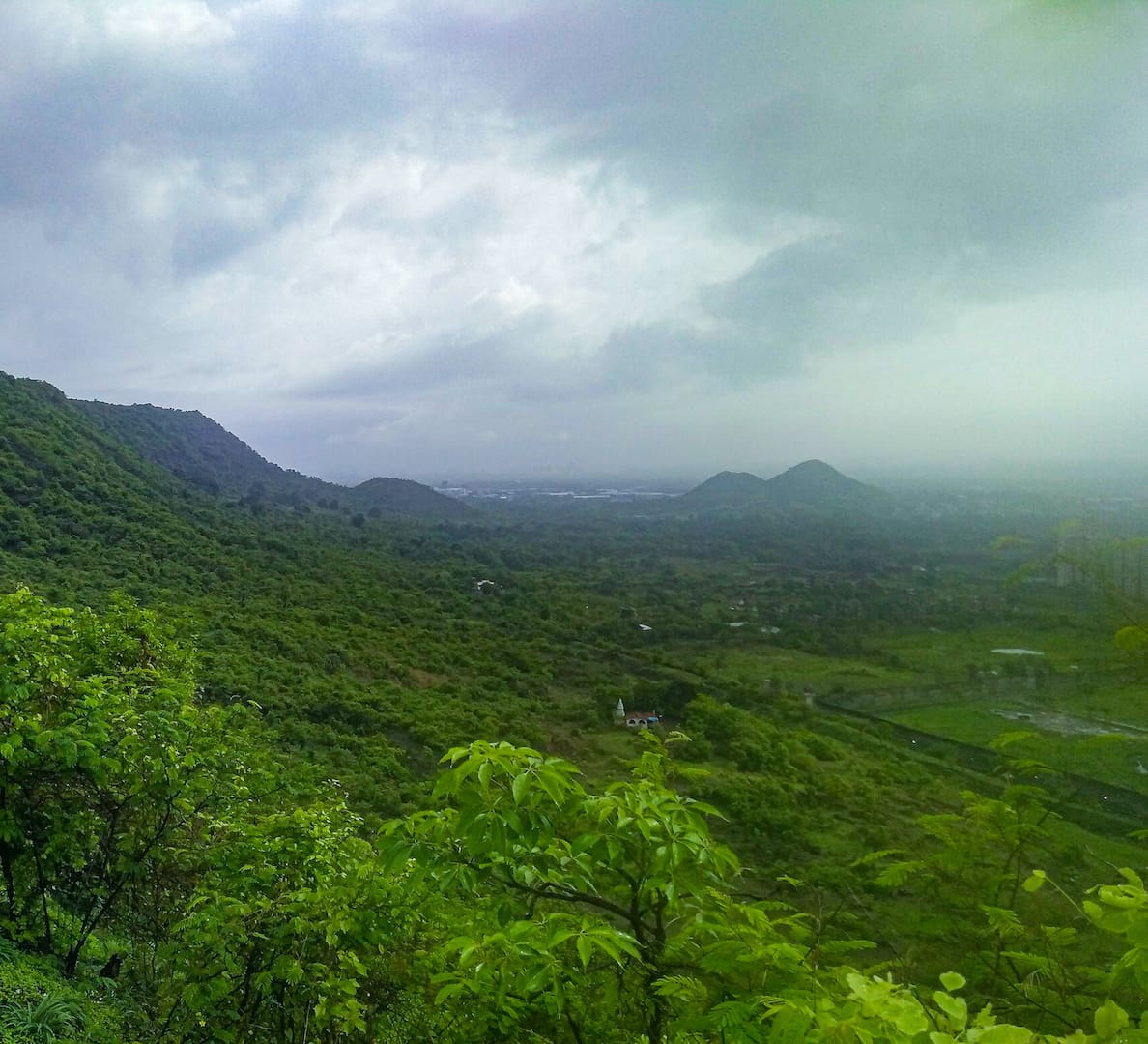 Kharghar Hills Are Alive With The Sound Of Birdsong Roundglass Sustain A creek in navi mumbai, india, turned pink this week, after over 100,000 flamingos were spotted in the area. kharghar hills are alive with the sound