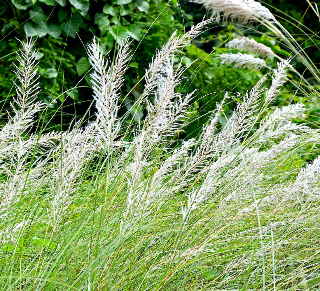 The Green, Green Grass of Home RoundGlass Sustain