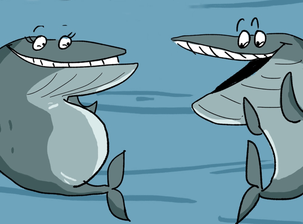 The Plastic in My Belly