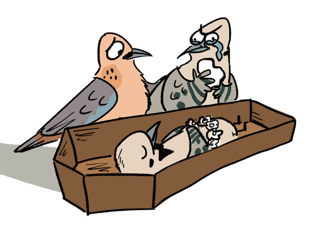 When Doves Ruffle Some Feathers